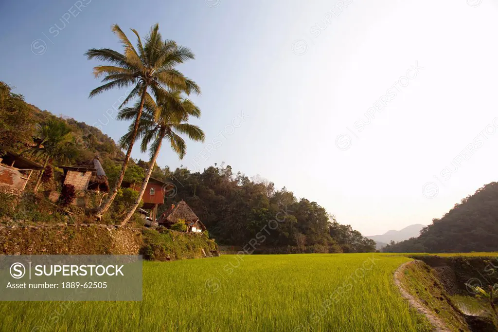 village containing the bangaan rice terraces, bangaan, luzon, philippines