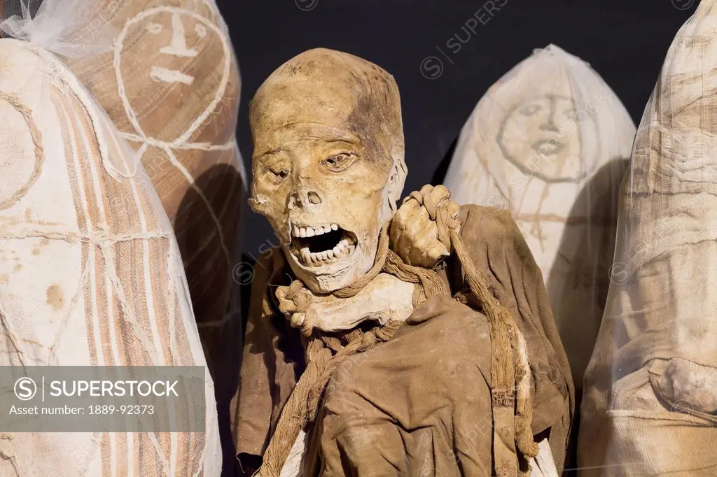 Chachapoya mummy recovered from the cliff tombs of Laguna de los