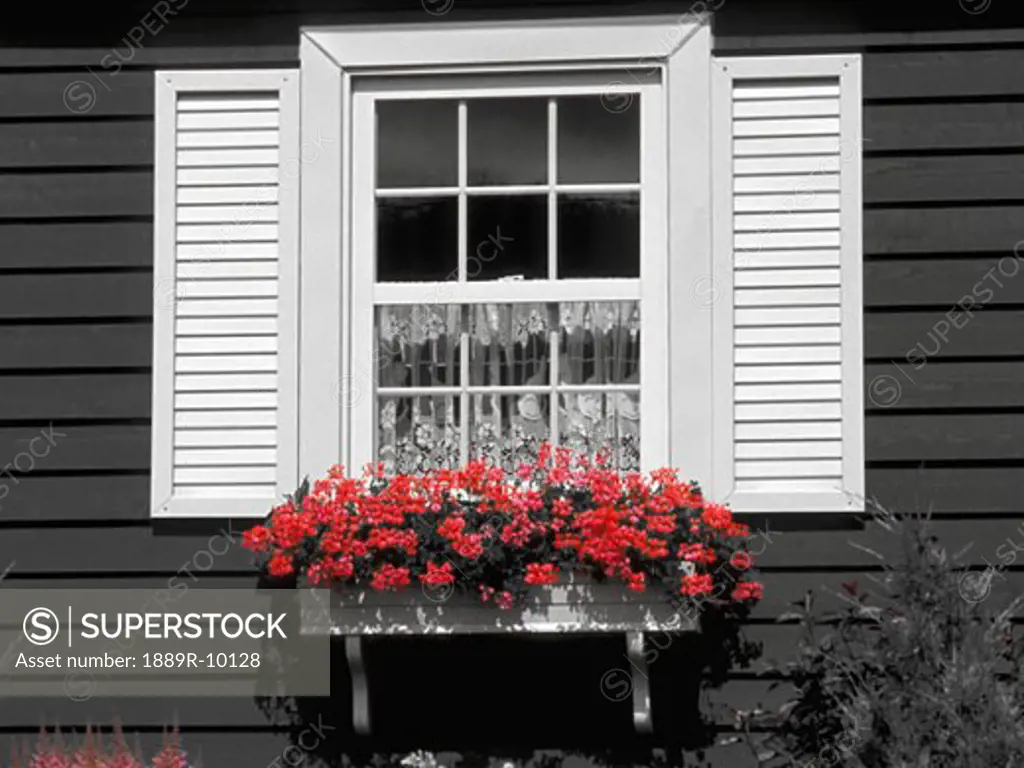 Exterior window and flowering window box