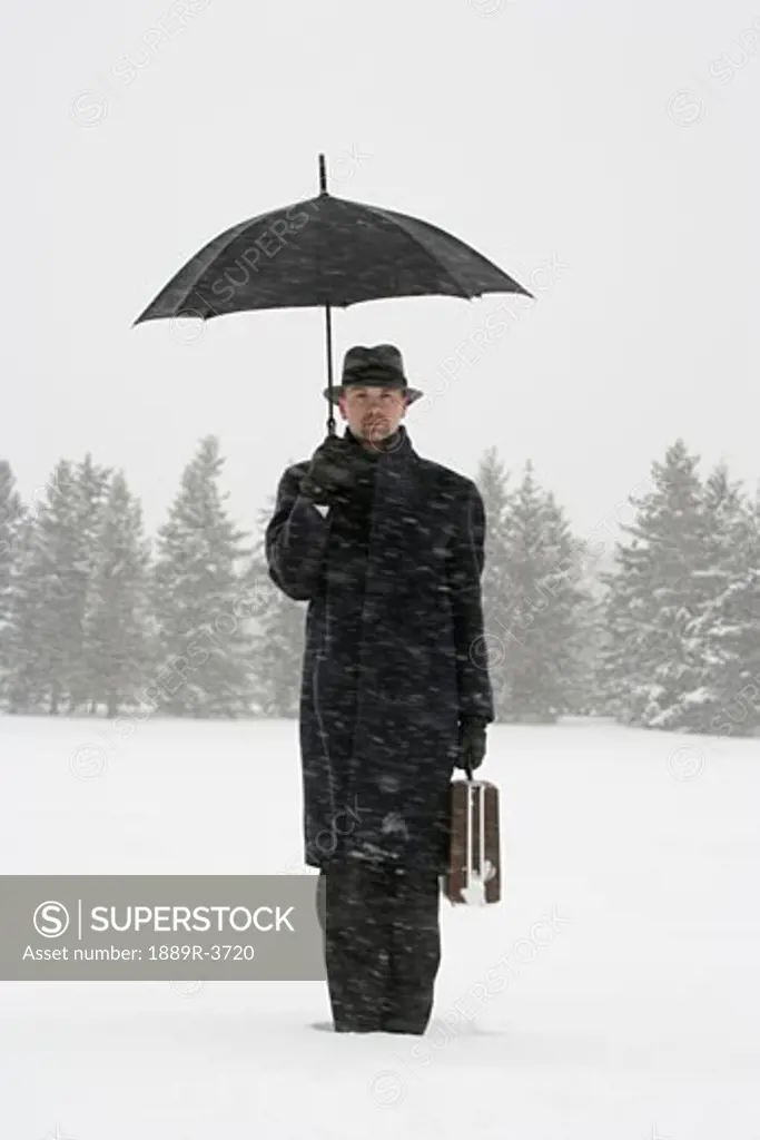 Businessman waiting in the snow with umbrella and briefcase