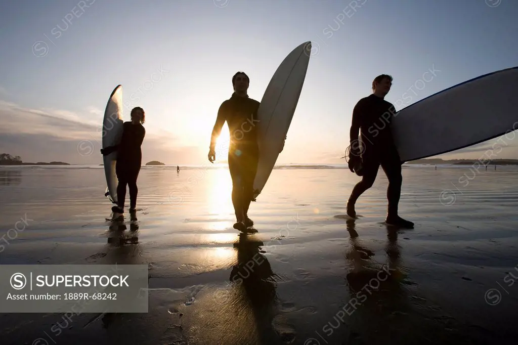 silhouette of three surfers carrying surfboards, chesterman beach tofino vancouver island british columbia canada