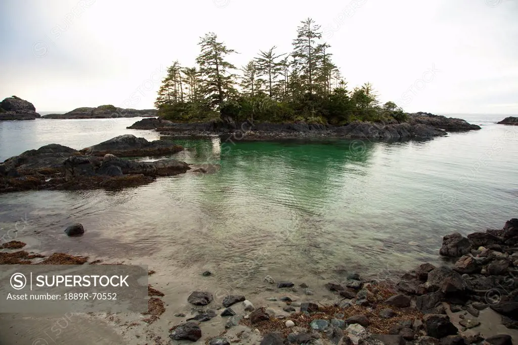 ucluth beach in the wya point campground near ucluelet on vancouver island, british columbia canada