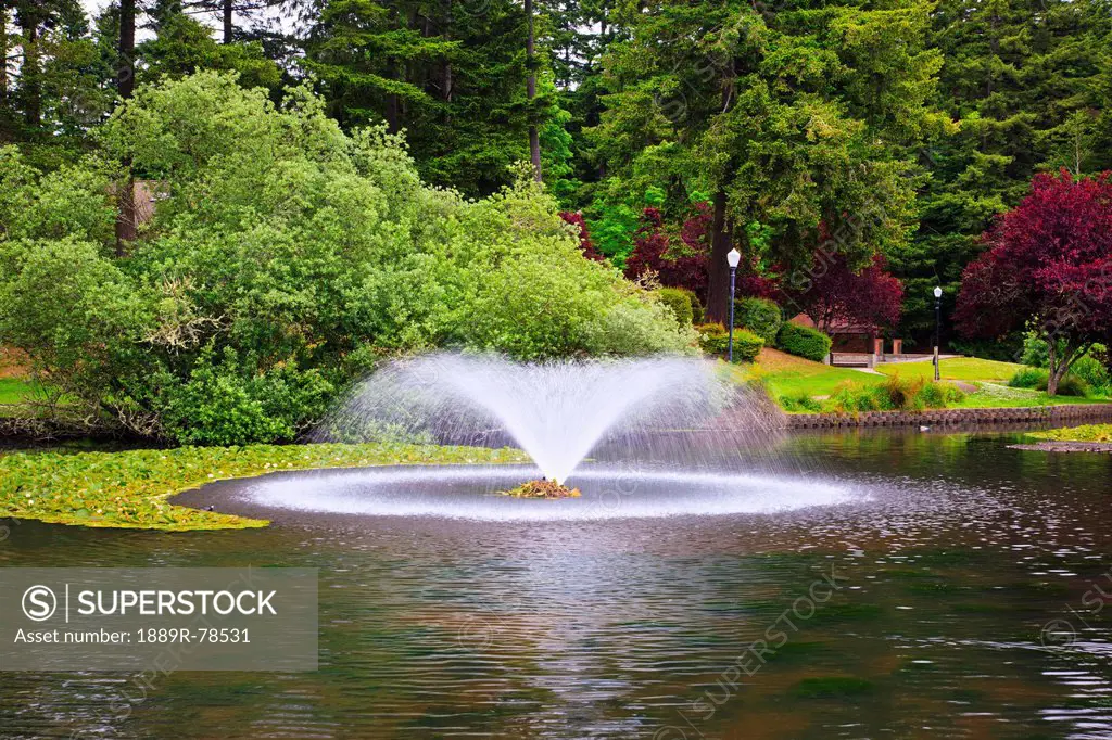 Water Fountain In A Pond At Mingus Park, Coos Bay Oregon United States Of America