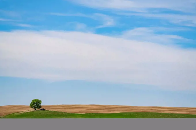 Big sky in blue and white over the flat prairie landscape; Saskatchewan, Canada
