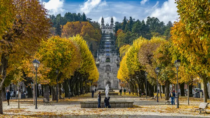 Vibrant autumn coloured foliage in Viseu District, Northern Portugal; Lamego Municipality, Viseu District, Portugal