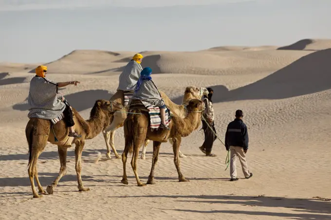 Tourists Enjoying A Camel Ride In The Desert; Zaafrane, Tunisia, North Africa