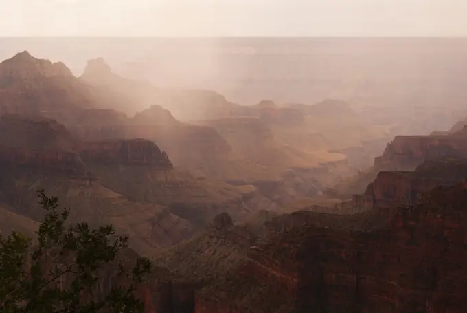 North Rim Of Grand Canyon In The Rain; Kanab Utah Usa