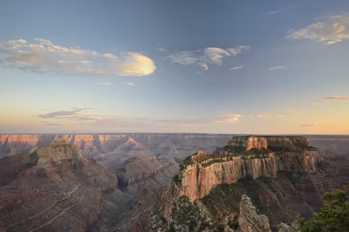 North Rim Of The Grand Canyon; Arizona Usa