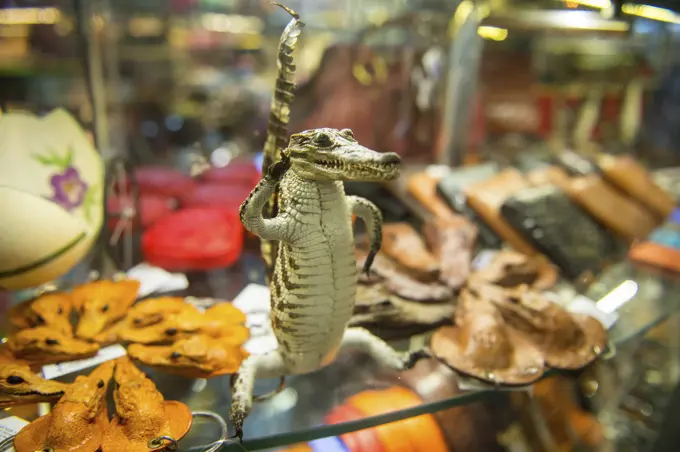 Souvenirs made out of crocodilian species are sold at the Hanoi Airport in Vietnam; Hanoi, Vietnam