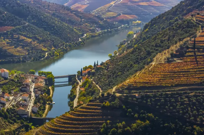 Terraced vineyards above the Douros River, Douro River Valley in Portugal; Portugal