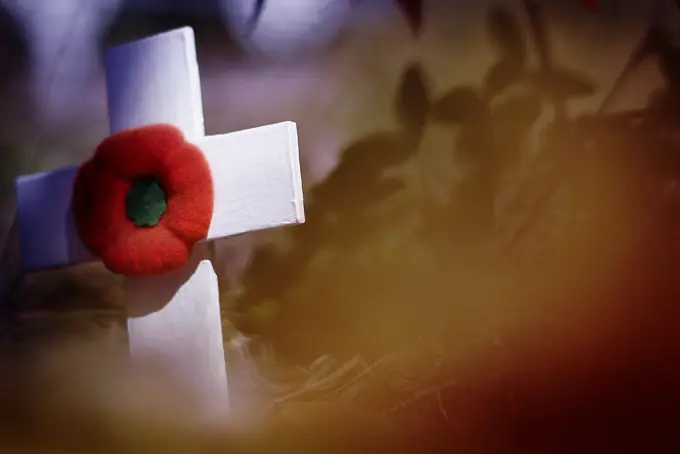 Remembrance Day