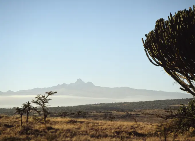 View Of Mount Kenya