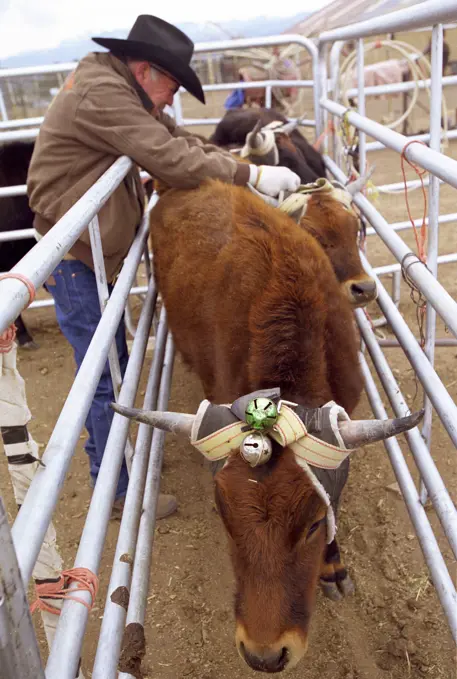 Unseen. Sport Without Sight' Project By Magali Delporte, Realised In 2001 And 2002. Jerry Long, Blind Rodeo, Capitan, New Mexico, March 2002. It Only Takes A Few