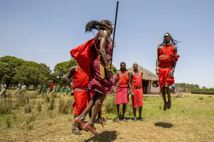 Maasai dancers in the Maasai Mara National Reserve, Kenya, Africa; Narok, Narok County, Kenya