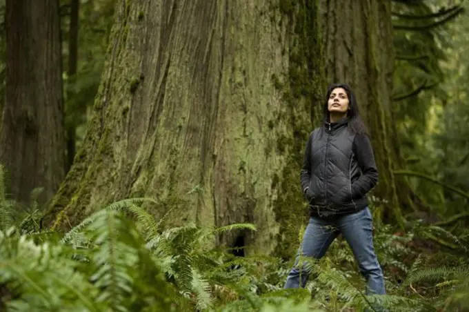 Cathedral Grove, MacMillan Provincial Park, Vancouver Island, British Columbia, Canada; Woman admires an old cedar tree