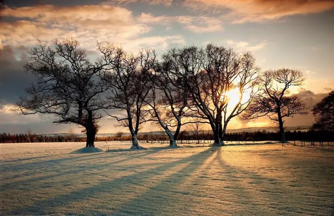 northumberland, england, sun setting over a field and trees