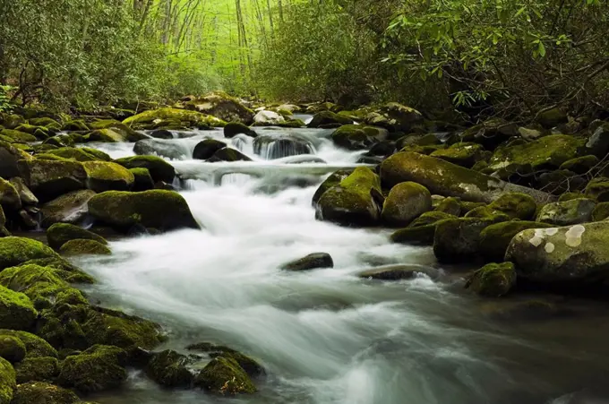 north carolina, united states of america, cascades in the oconaluftee river in the great smokey mountains national park