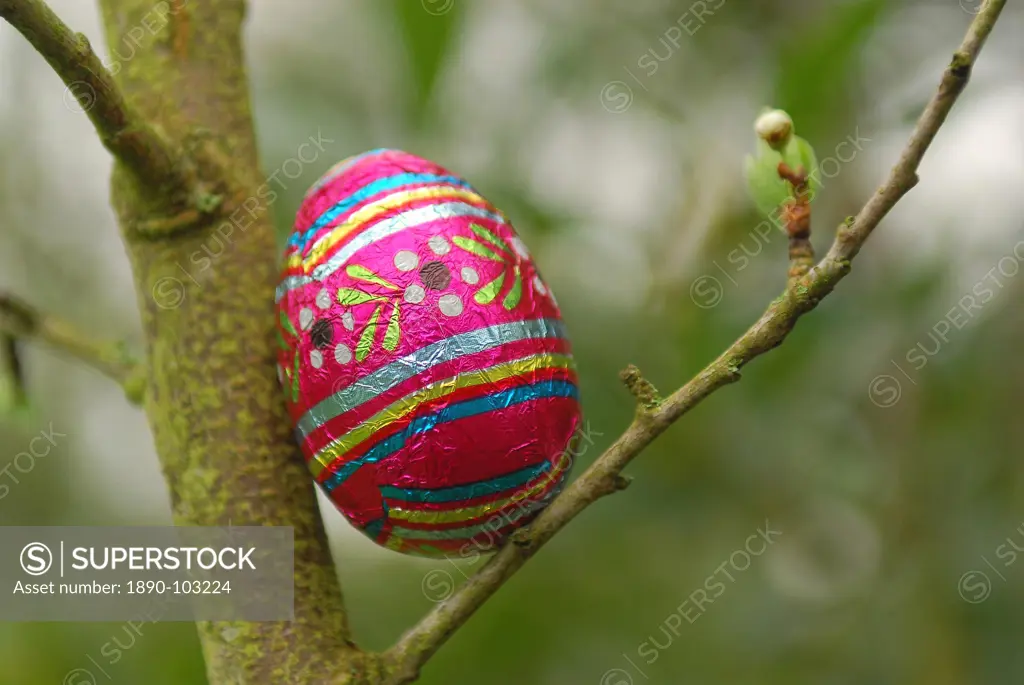 Easter egg search, Paris, France, Europe