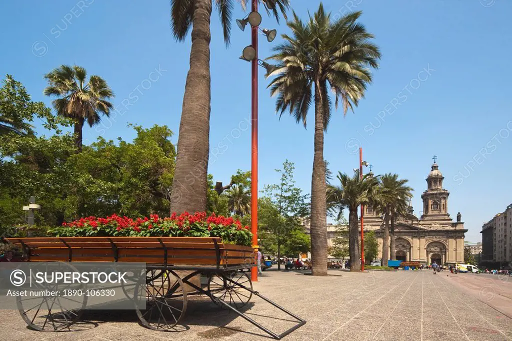 Flowers, trees and the Metropolitan Cathedral dating from 1745, on the Plaza de Armas, Santiago, Chile, South America