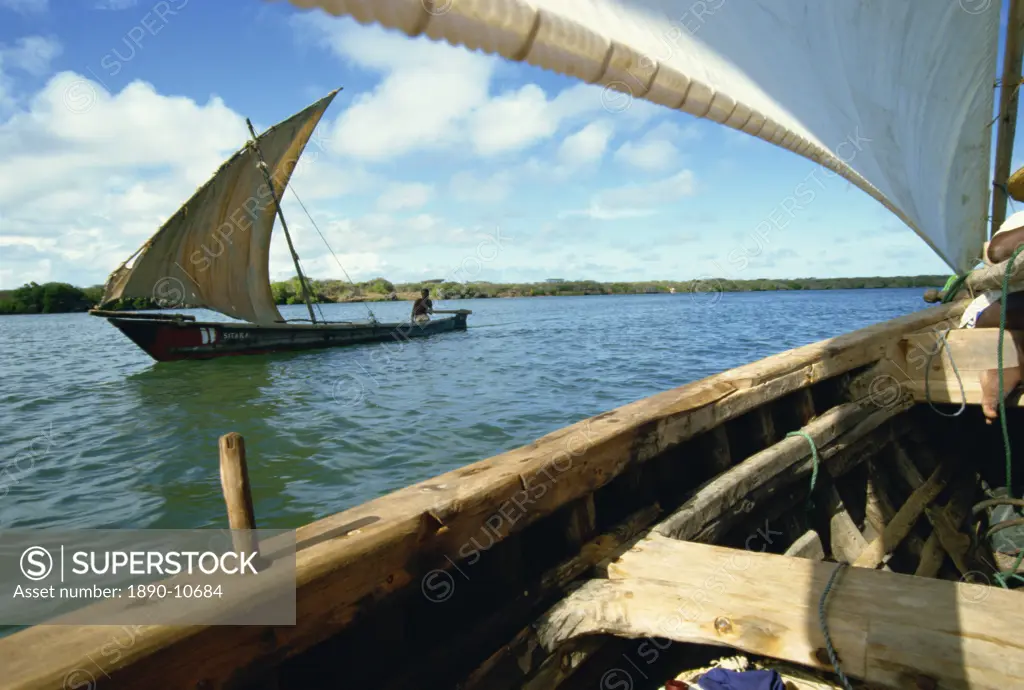 Dhows on river, Lamu, Kenya, East Africa, Africa