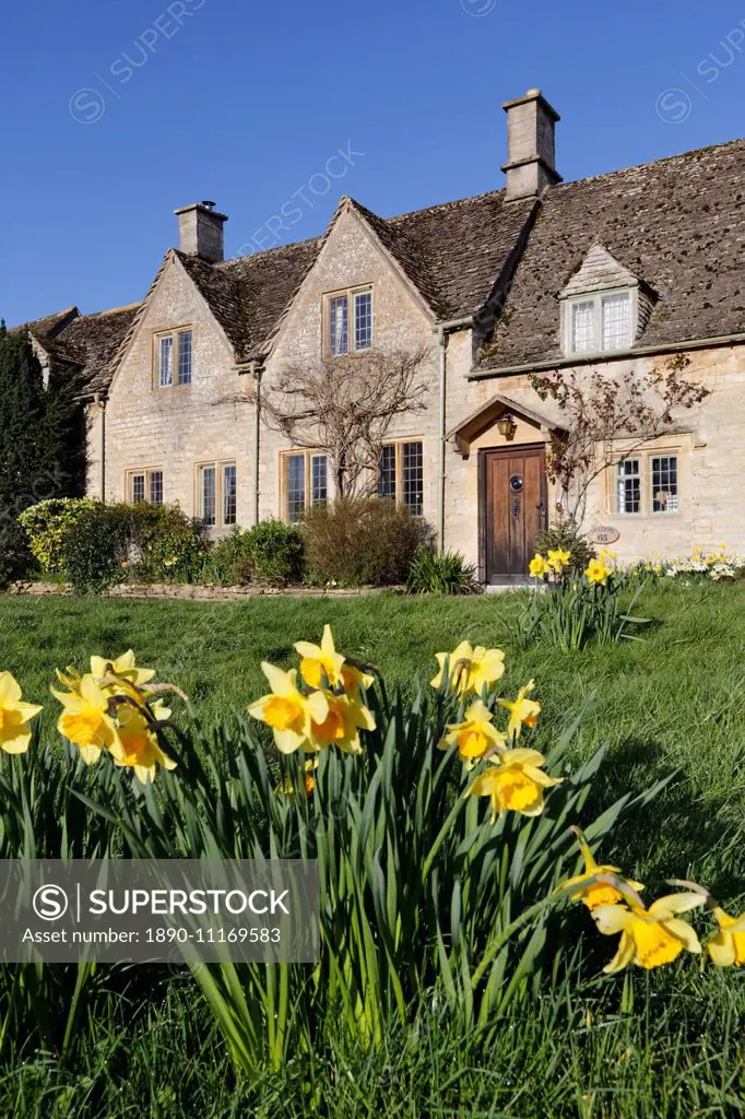 Cotswold cottages with Spring Daffodils, Little Barrington