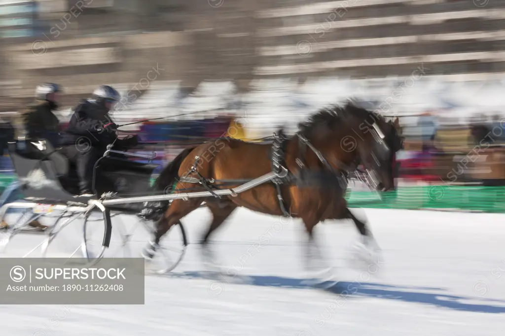 Sleigh race, Quebec Winter Carnival, Quebec City, Quebec, Canada, North America