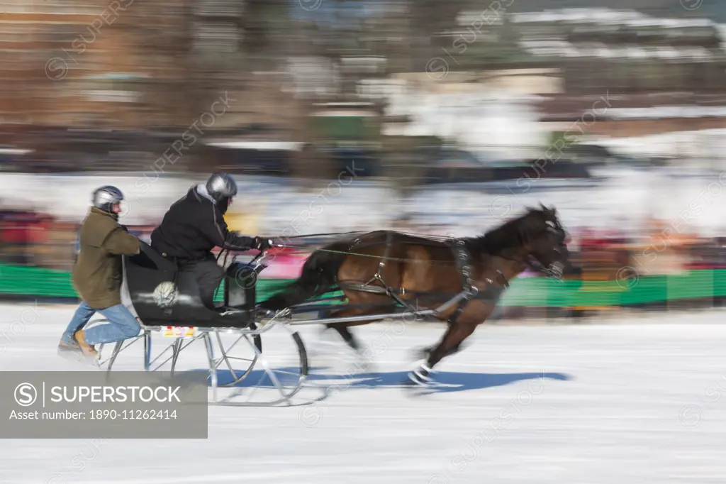 Sleigh race, Quebec Winter Carnival, Quebec City, Quebec, Canada, North America