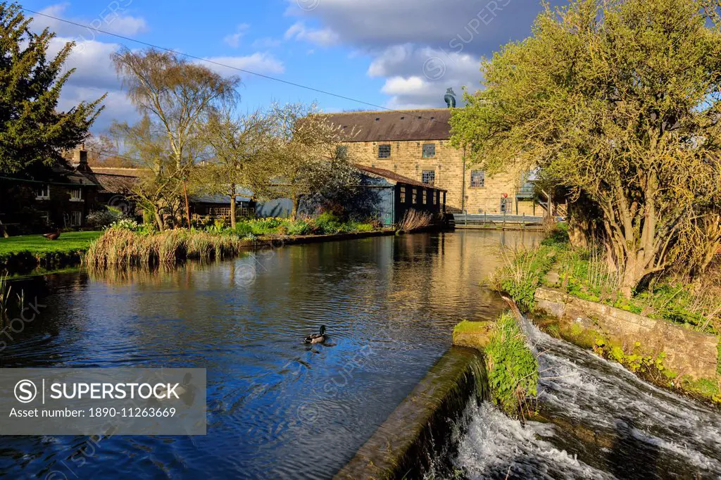 Caudwell s Mill mill cottages and mallard ducks in spring a