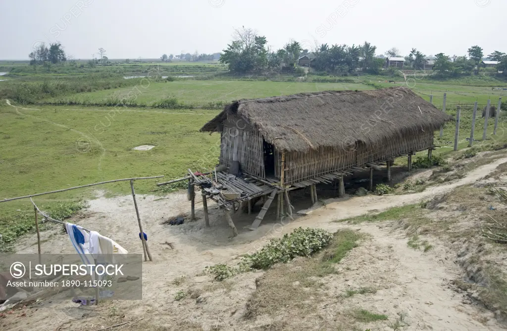 Mishing tribal village house, Majuli Island, largest freshwater riverine island in the world, in the Brahmaputra River, Assam, India, Asia