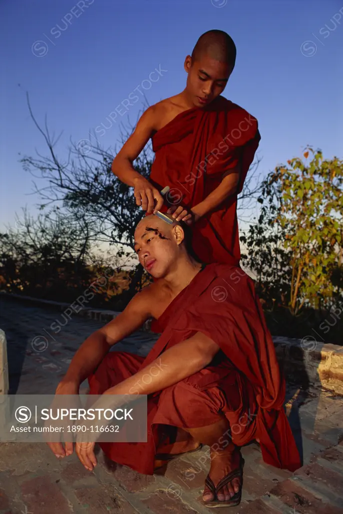 Buddhist monk having his head shaved, U Min Kyaukse Pagoda, Sagaing, Myanmar Burma, Asia