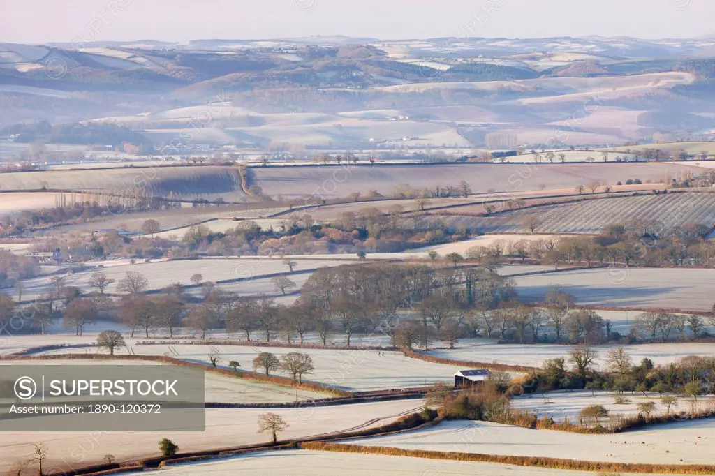 Frost covered winter countryside near Crediton, Devon, England, United Kingdom, Europe