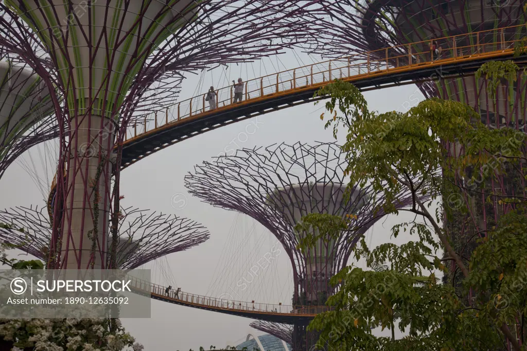 Tourists visit the Sky Walk at Gardens by the Bay in Singapore, Southeast Asia, Asia