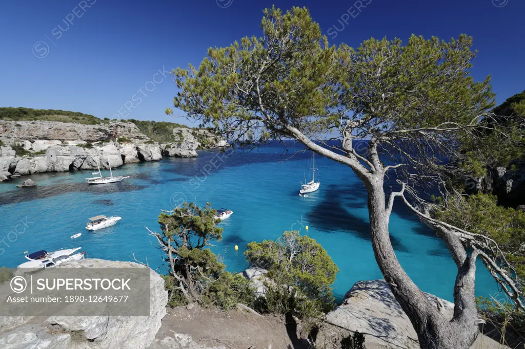 Yachts anchored in cove, Cala Macarella, near Cala Galdana, South West Coast, Menorca, Balearic Islands, Spain, Mediterranean, Europe