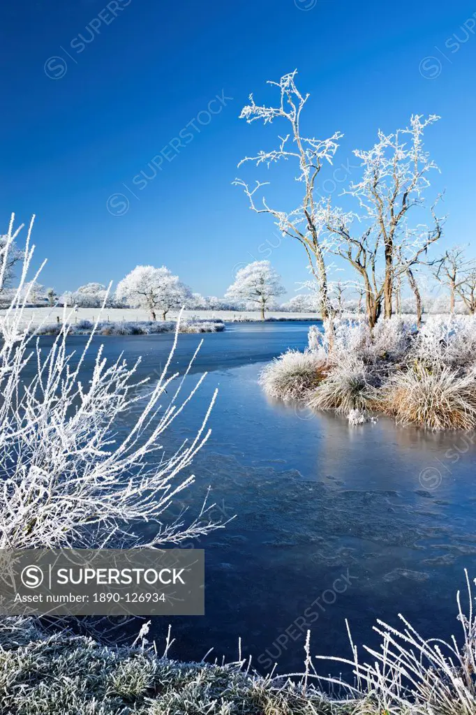 Hoar frosted trees and frozen river in winter time, Morchard Road, Devon, England, United Kingdom, Europe