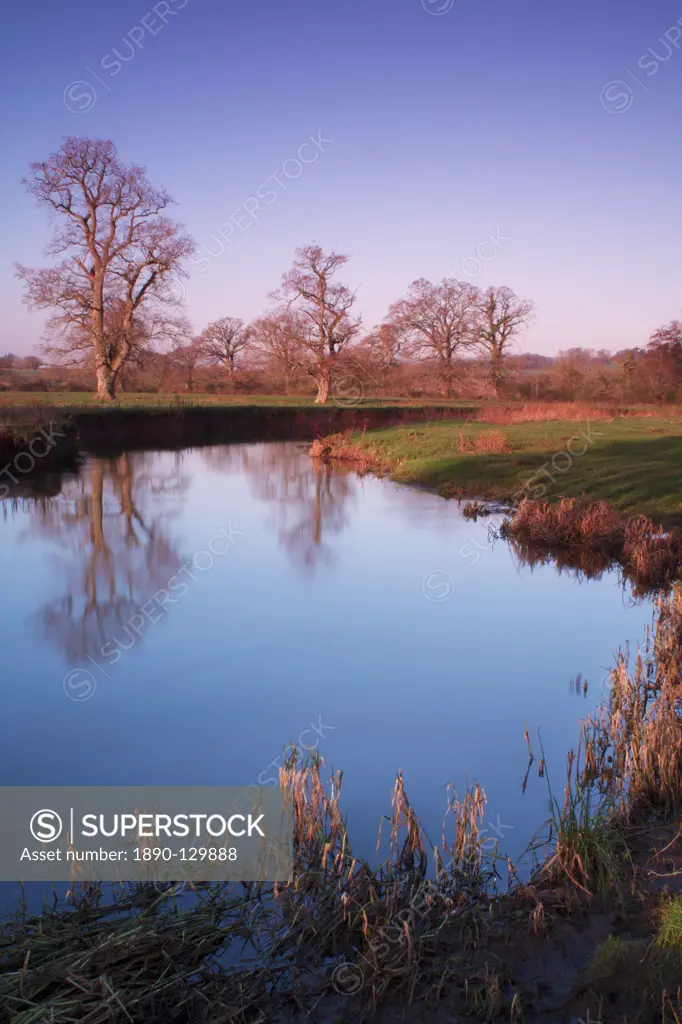 River Culm, near Rewe, Devon, England, United Kingdom, Europe