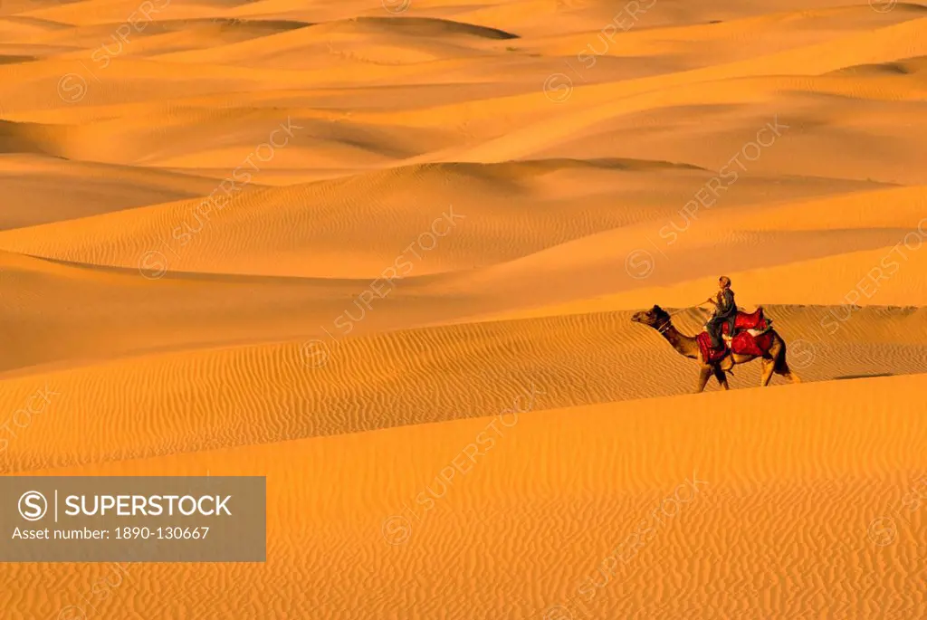 Sand Dunes in Rajasthan