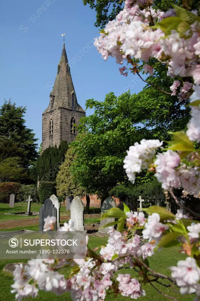 Church and spring blossom Burton Joyce Nottinghamshire England