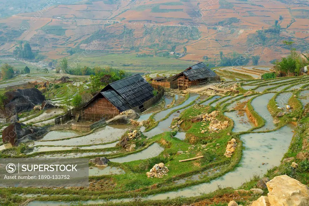 Terraced rice fields, Sapa area, North Vietnam, Vietnam, Indochina, Southeast Asia, Asia