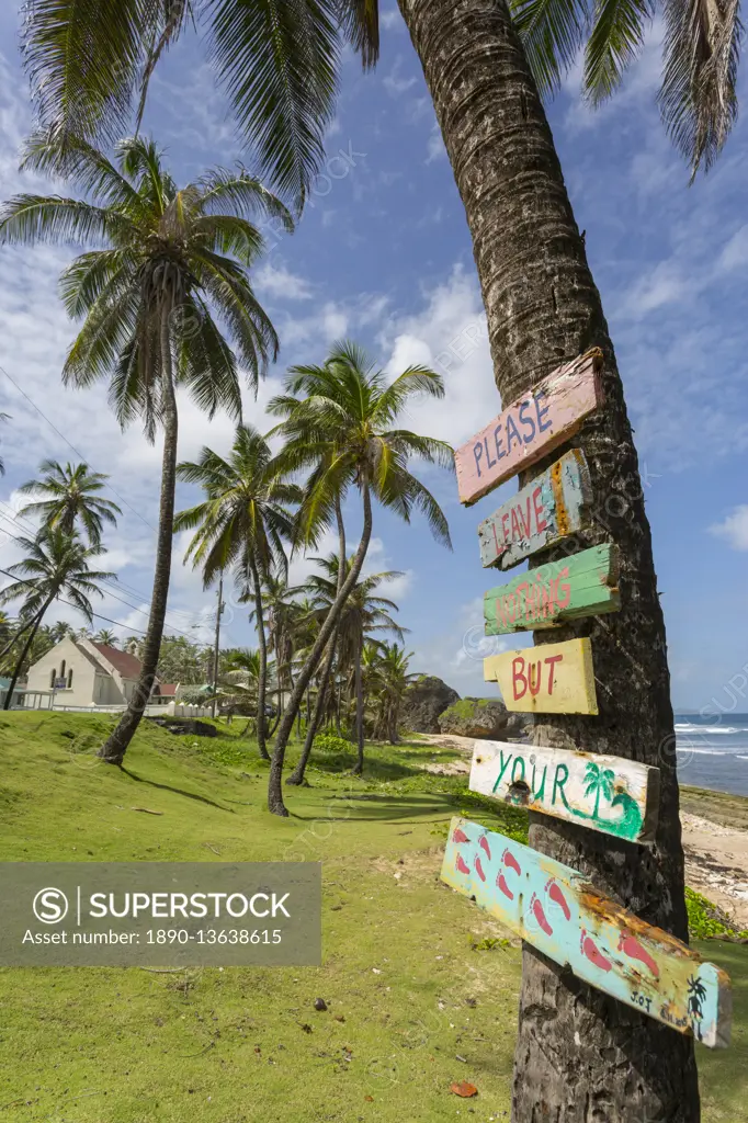 Beach, Bathsheba, St. Joseph, Barbados, West Indies, Caribbean, Central America