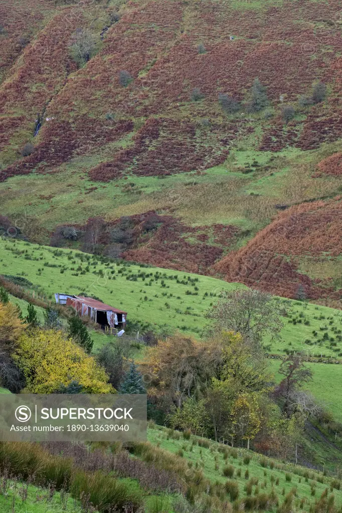 Glenballyemon, County Antrim, Ulster, Northern Ireland, United Kingdom, Europe