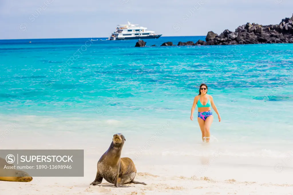 Hanging out with wildlife on Floreana Island, Galapagos Islands, Ecuador, South America