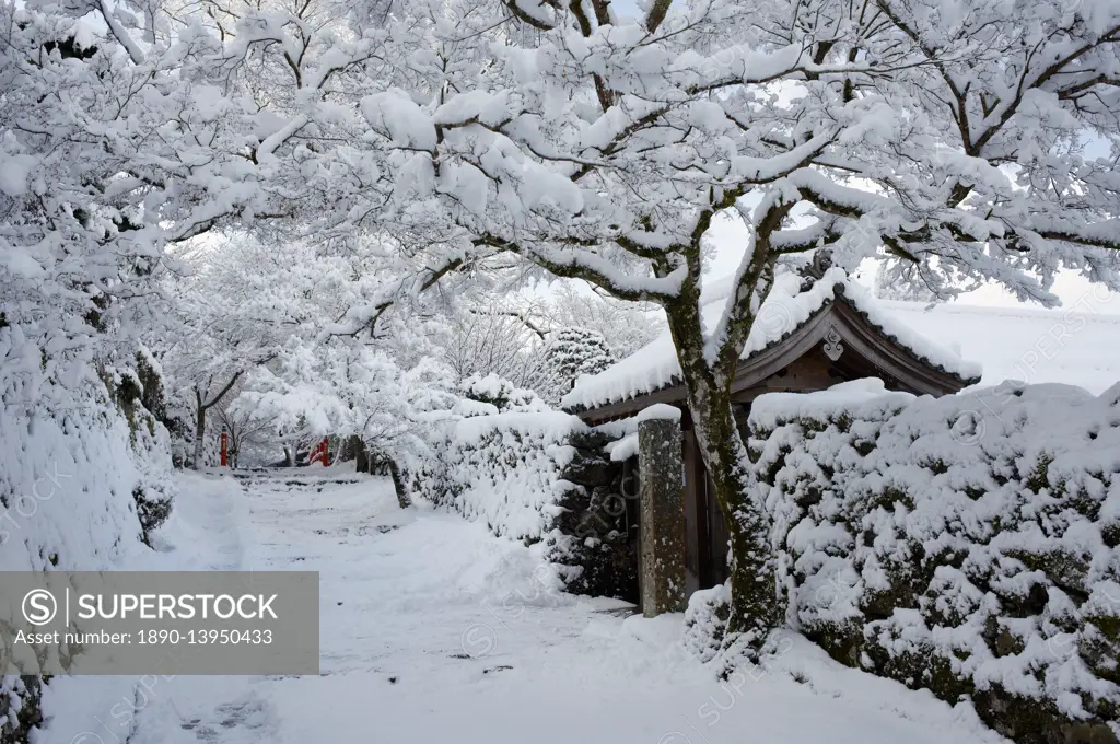 Fresh snow on Jikko-in Temple entrance, Ohara valley, Kyoto, Japan, Asia