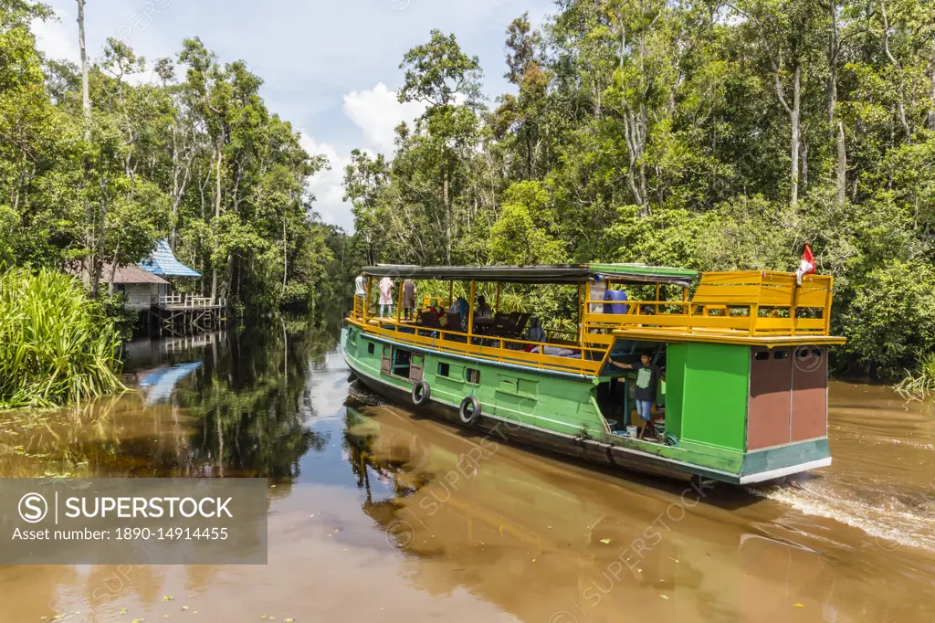 Klotok with tourists on the Sekonyer River, Tanjung Puting National Park, Kalimantan, Borneo, Indonesia, Southeast Asia, Asia