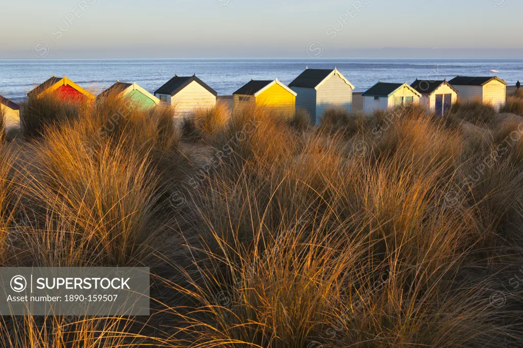 Beach huts amid sand dunes, Southwold, Suffolk, England, United Kingdom, Europe