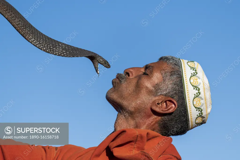 Snake charmer, Djemaa el Fna, Marrakech, Morocco, North Africa, Africa