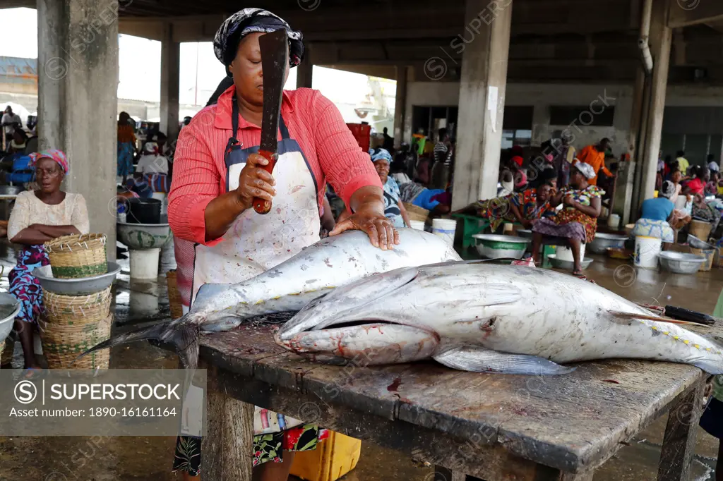 Tuna fish, Fish market, Port of Lome, Togo, West Africa, Africa