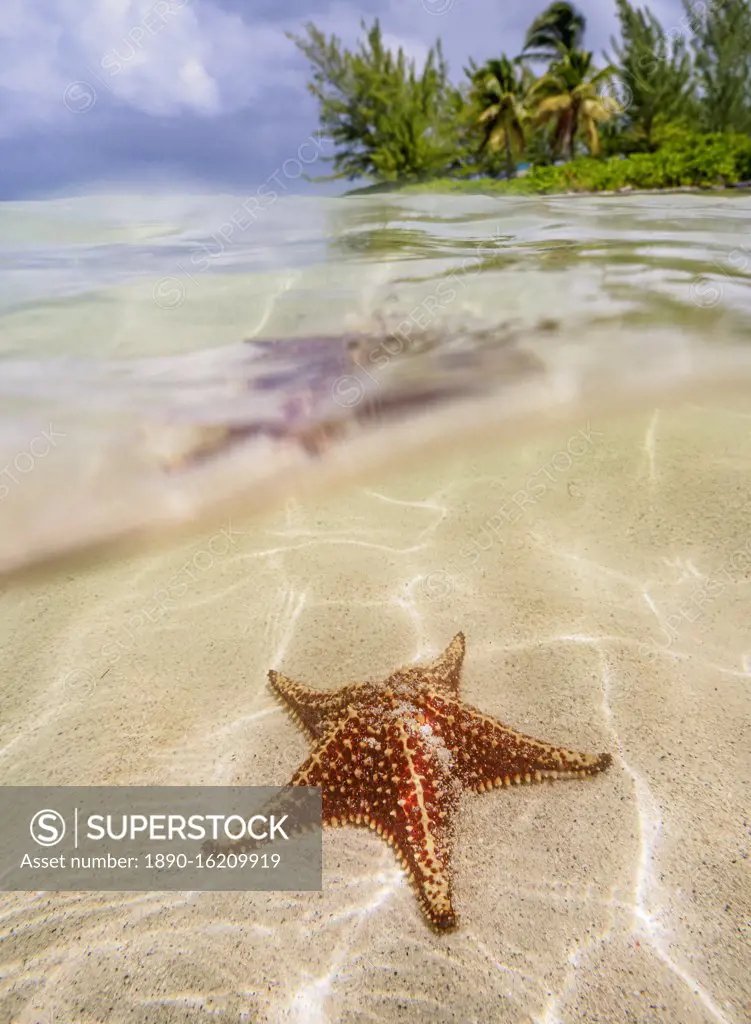 Star fish point, Cayman Islands