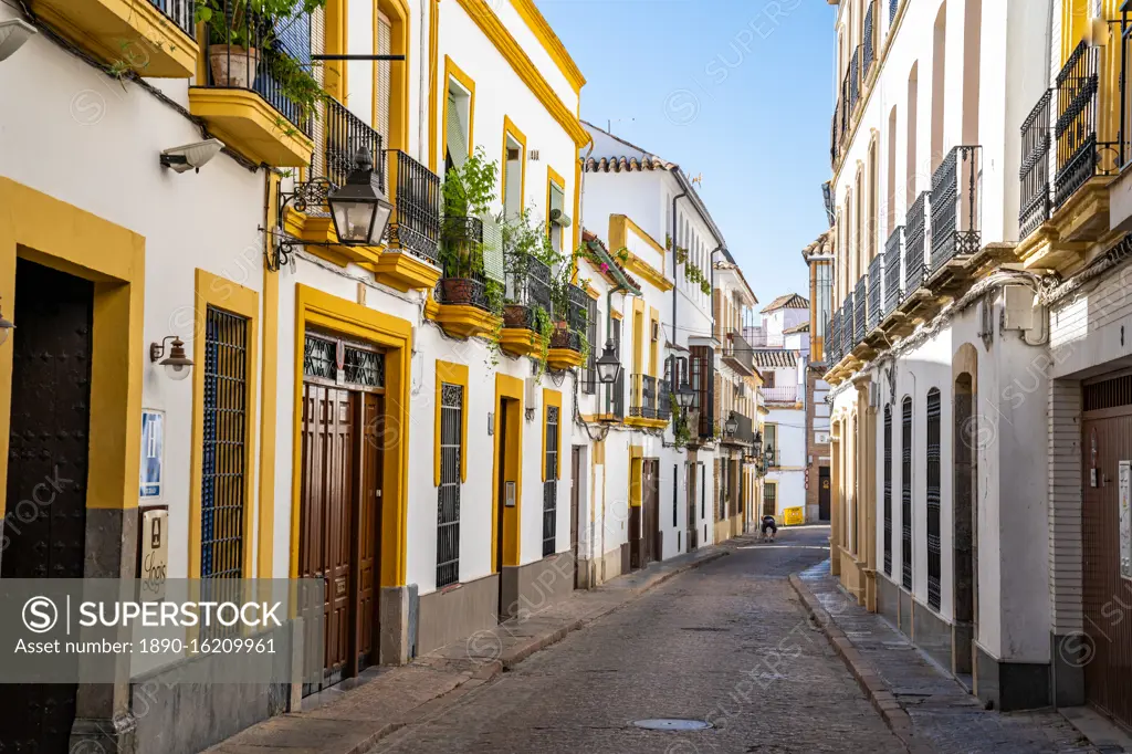 The white and yellow buildings of a typical Andalusian street in Cordoba, Andalusia, Spain, Europe