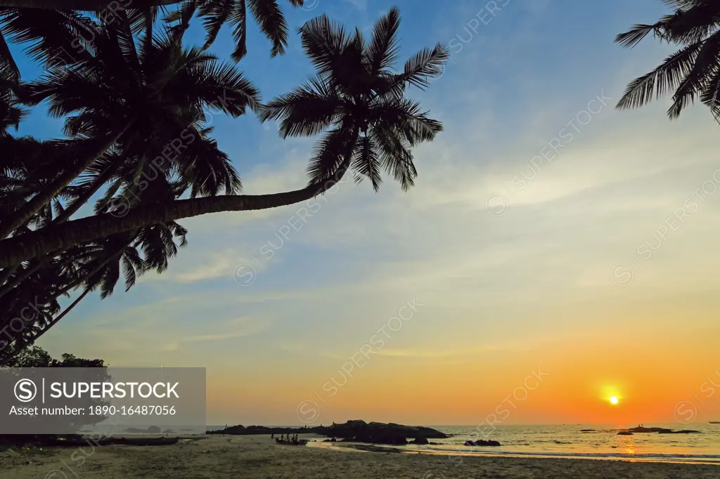 Leaning palm trees at sunset on lovely unspoilt Kizhunna Beach, south of Kannur on the state's North coast, Kannur, Kerala, India, Asia