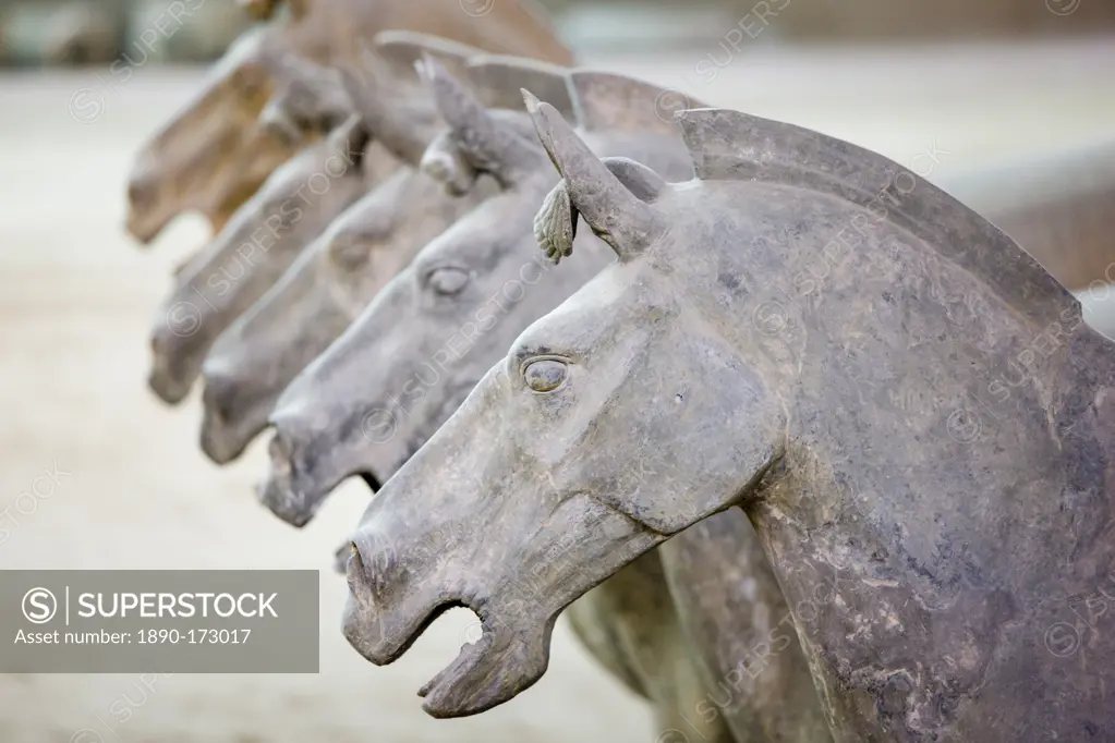 Terracotta horses alongside warriors at Qin Museum, exhibition halls of Terracotta Army, Xian, China